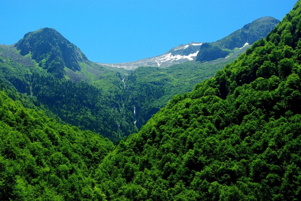 Lo pastor, la montanha e la lenga : vida pastorala en Occitània